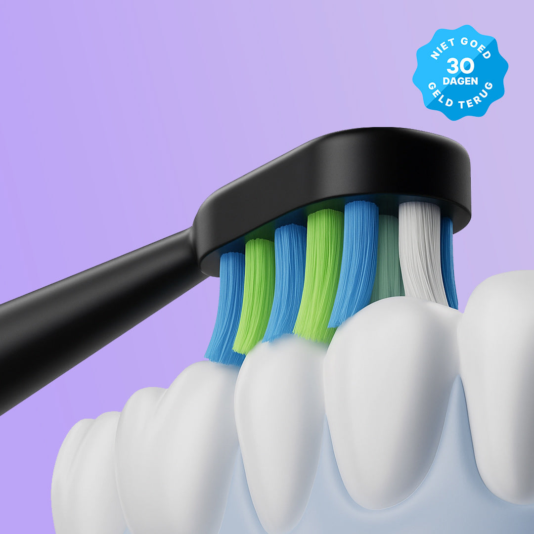 Aligner Case with mirror